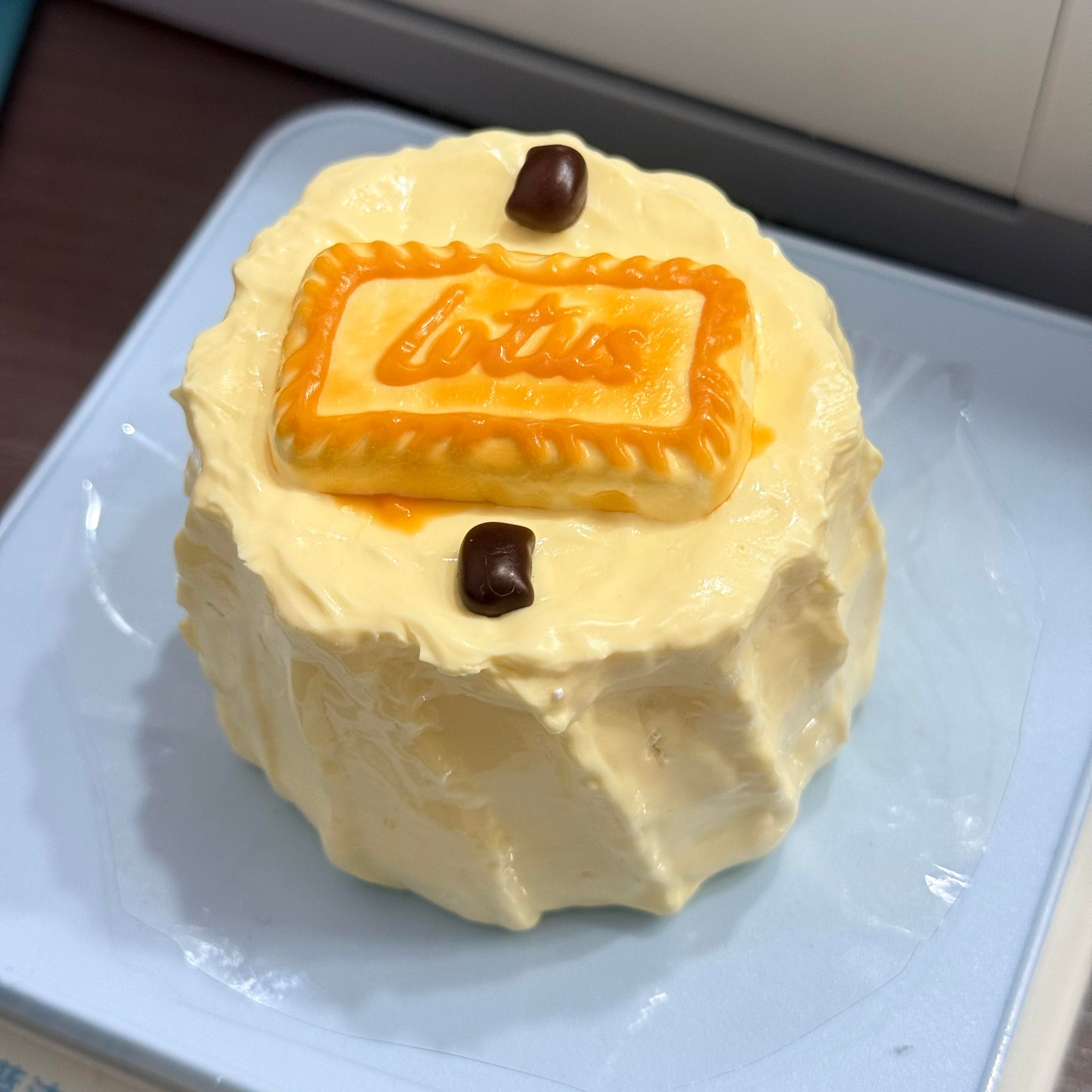 TAONINIビスケットとプリンのケーキです 泥感　手作り無毒 食品級シリコン スクイーズ
